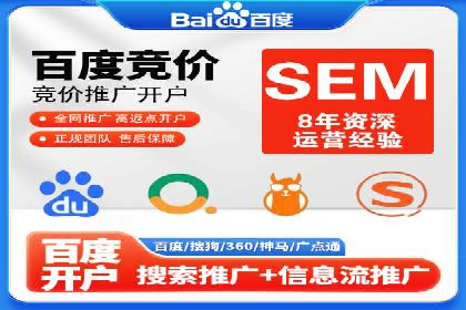 百度推广实战攻略：案例与策略